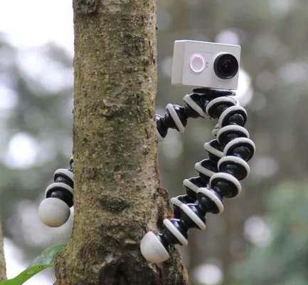 How Much Does a Camera Trap Survey Cost?
